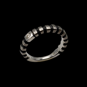 VERTEBRAE RING